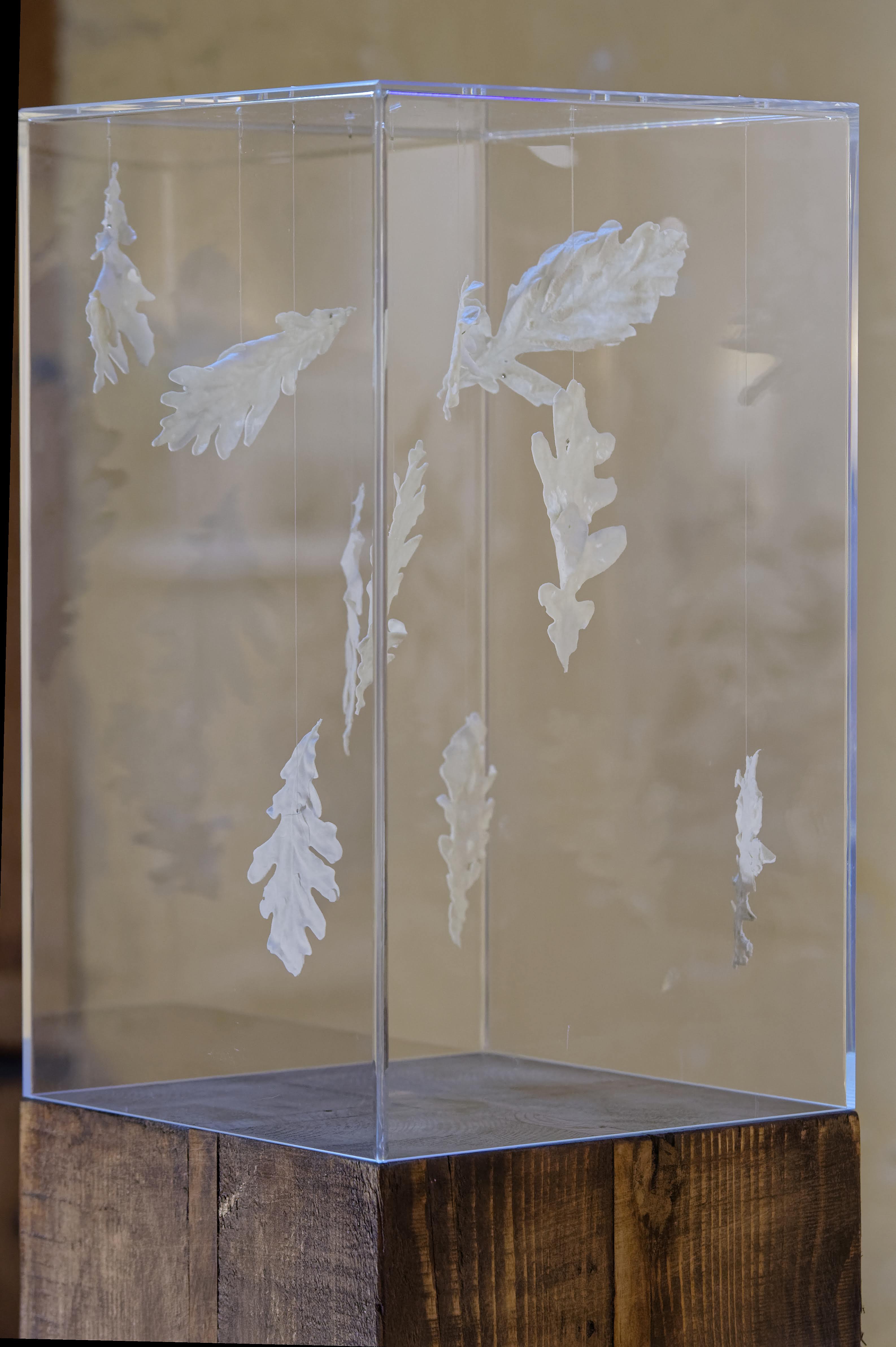 L'Air (Icare) - Porcelaine, plexiglas, bois, 160x30x30 cm