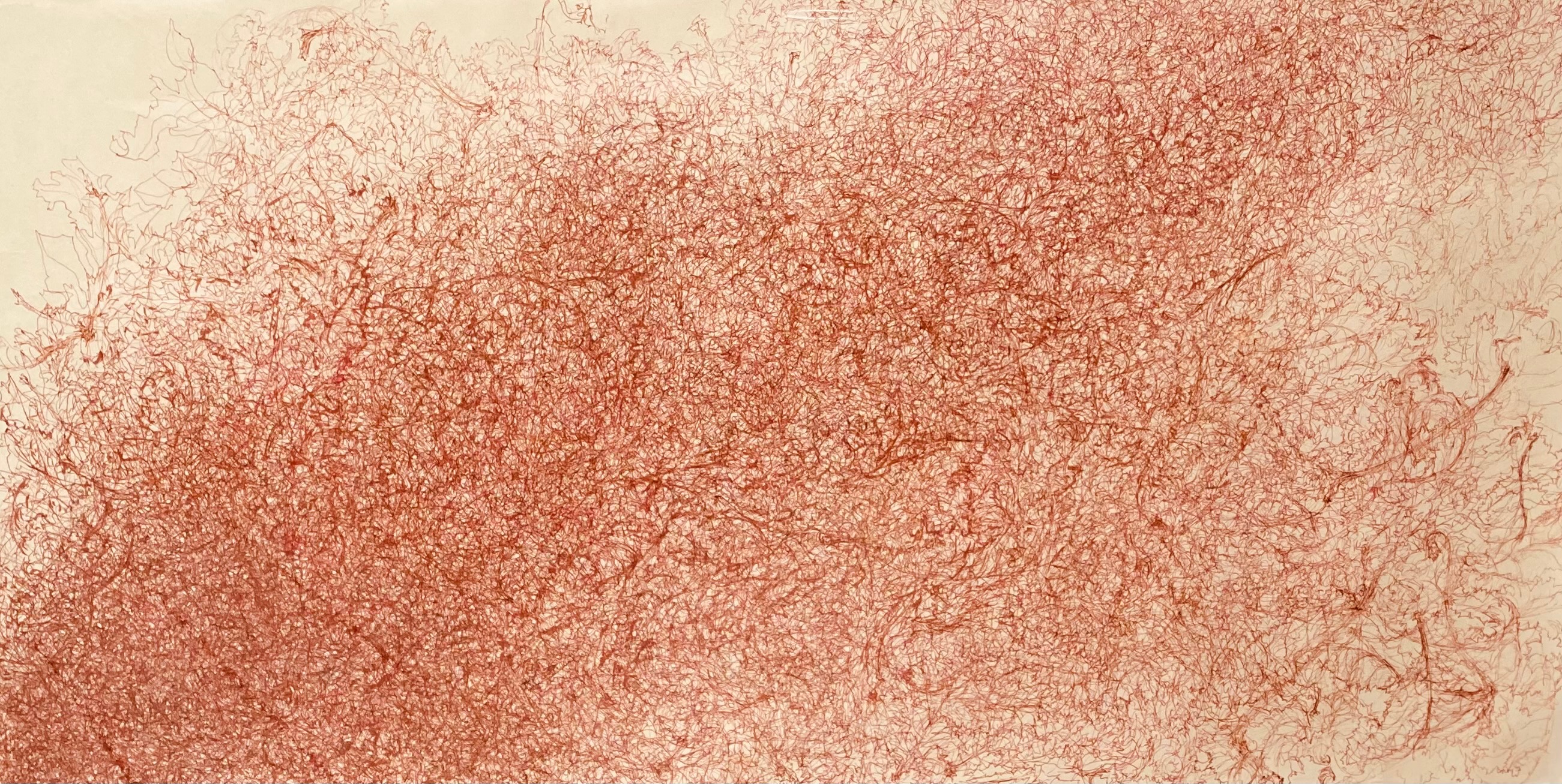 Amoncellement - Dessin à l'encre sanguine sur papier Japon 61x102 cm