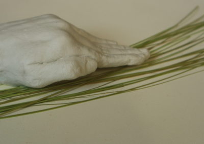 Série La peau des mains (I) - Porcelaine, végétaux