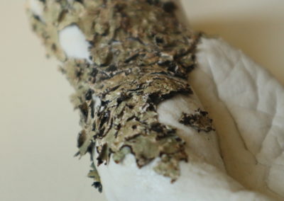 Série La peau des mains (détail)